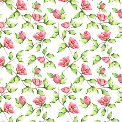 Розовые цветы и листья на белом фоне