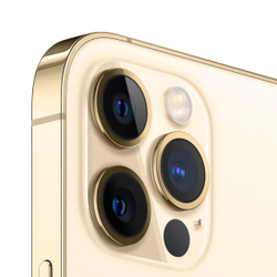 Смартфон Apple iPhone 12 Pro Max 256GB Gold (MGDE3RU/A)
