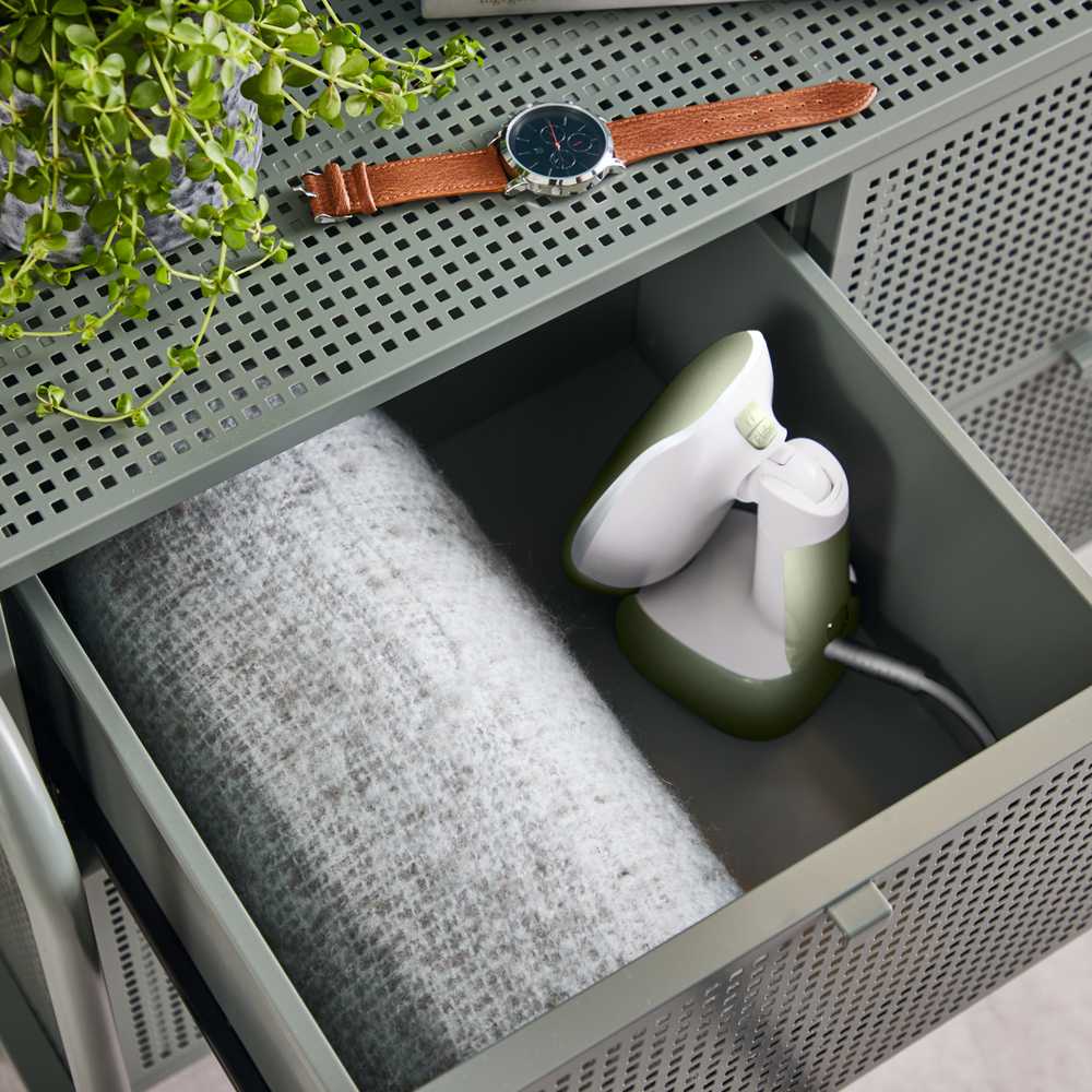 Отпариватель Tefal Access Steam Pocket Lichen DT3053E1