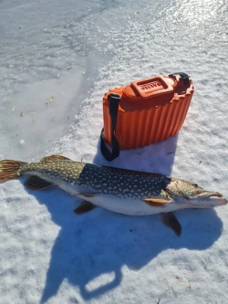 Крючок рыболовный тройной 1/0