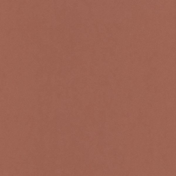 Бумага цветная 120 г/м², A4 21х29.7 см, 50 шт, 30 коричневый/brown, Vista-Artista MPO-A4
