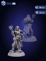 Стартовый набор. Гильдия путешественников. Фигурки под покрас