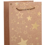 Пакет под бутылку «Волшебная история» 11*38*11 см, микс