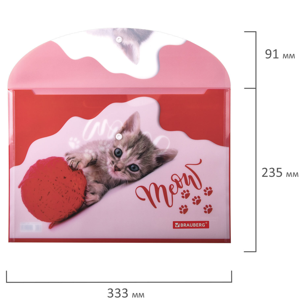 Папка-конверт с кнопкой BRAUBERG "FUNNY CAT" А4 160 мкм цветная печать (12 штук в упаковке)