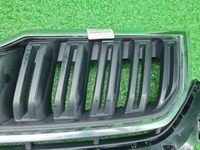Решетка радиатора Skoda Kodiaq (2016-2022)