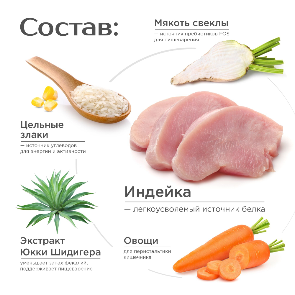 Корм сухой для взрослых собак породы Австралийская овчарка, премиум полнорационный комплекс, с индейкой, 12 кг, QUATTRO