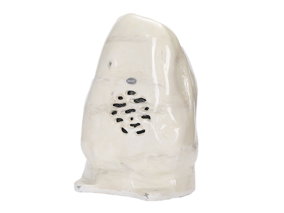 DSPPA DSP-641