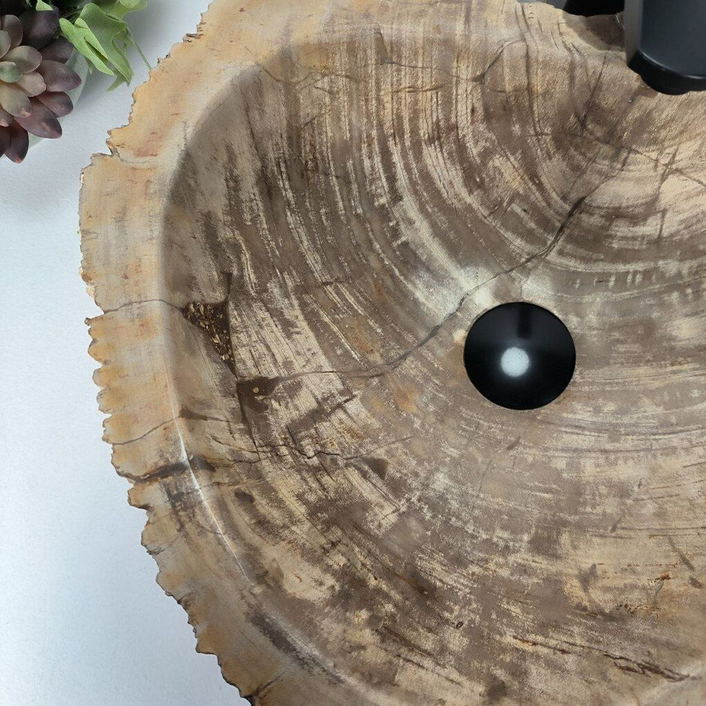 Каменная раковина из окаменелого дерева OD-04316 (51*41*15) 0175 из натурального камня