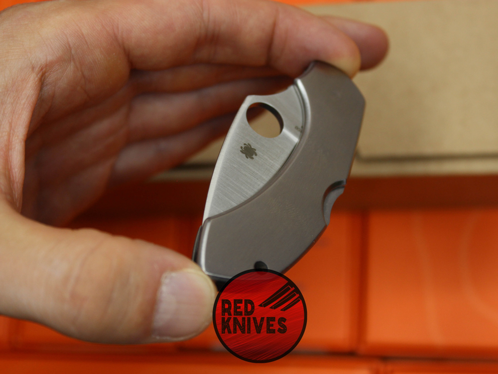 Нож Spyderco Dragonfly 5 C28P