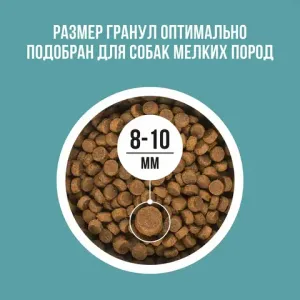 Уценка! Повр.упак. / Сухой корм BOWL WOW для собак мелких пород с индейкой, рисом и розмарином