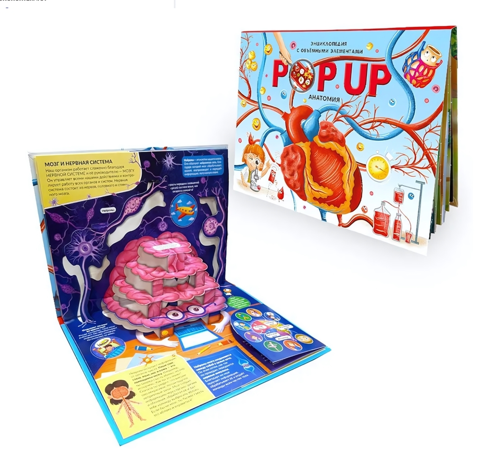 Книжка-панорамка. Энциклопедия POP UP. Анатомия (Malamalama)