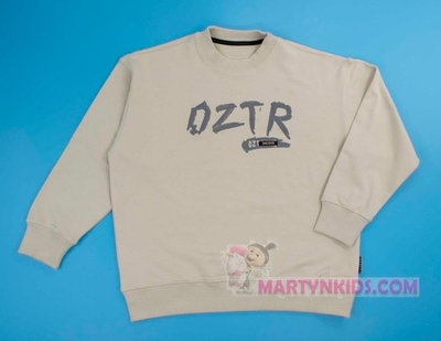 толстовка подросток OZ TR   4934