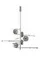 AP9446-5 DARK GREY (1) Люстра NW