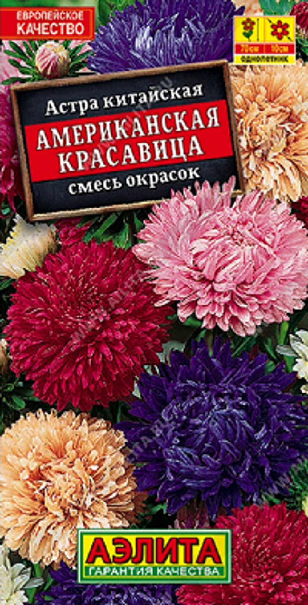 Астра Американская красавица, смесь окрасок