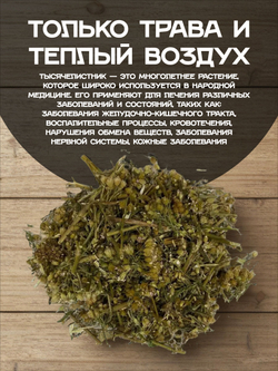 Тысячелистник трава сушеная.