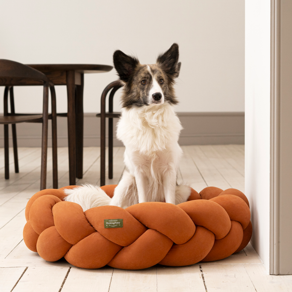 Лежанка «Пони-колосони» HuntingPony