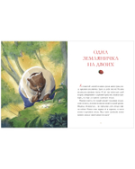 Сказки для внучат. Лесные дедушкины сказки