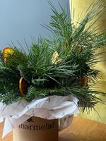 Композиция из хвои с апельсинами