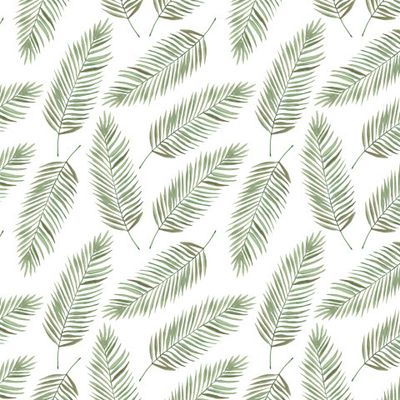 Пальмовые листья на белом фоне