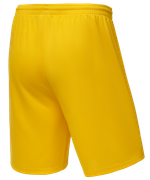 Шорты баскетбольные Camp Basic, желтый, детский