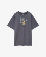 Футболка Anteater 363 серая