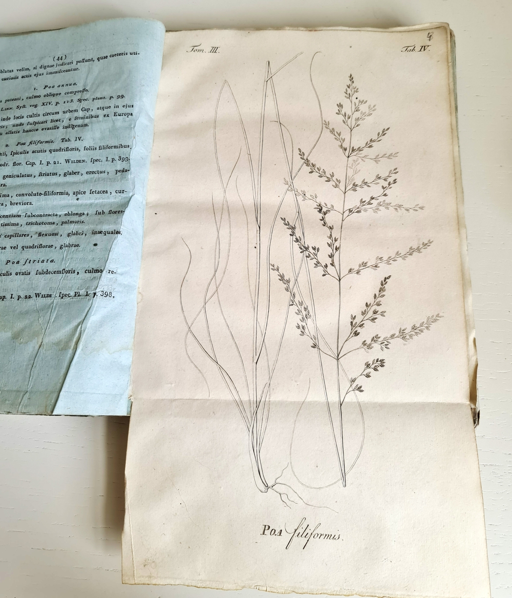 "Memoires de la societe imperiale des naturalistes de Moscou T. 1, 3, 5 (Воспоминания Московского Императорского Общества естествоиспытателей)". 1817 г.