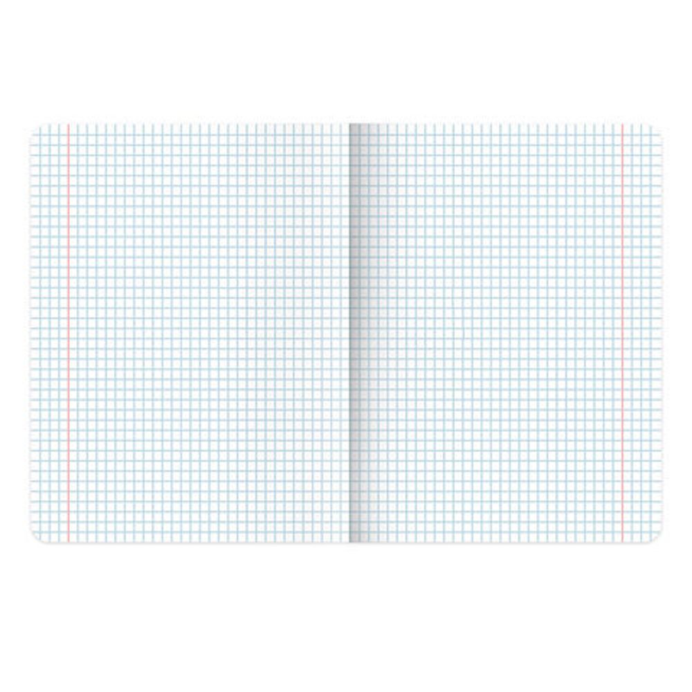 Тетради предметные, КОМПЛЕКТ 12 ПРЕДМЕТОВ, "КОТ-ЭНТУЗИАСТ", 48 л., TWIN-лак, BRAUBERG, 404609