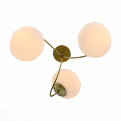 Светильник потолочный Evoluce Acini SL717.202.03