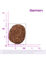 Сухой корм Gemon Dog Medium для взрослых собак средних пород, с ягненком и рисом 3 кг