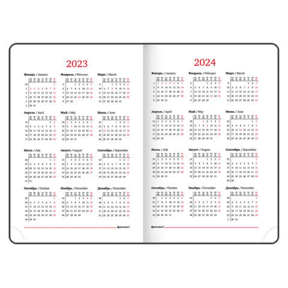 Ежедневник датированный 2023 А5 138x213 мм BRAUBERG "Holiday", под кожу, "зеркальный", золотой, 114023