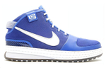 Кроссовки Nike Lebron 6 Kid