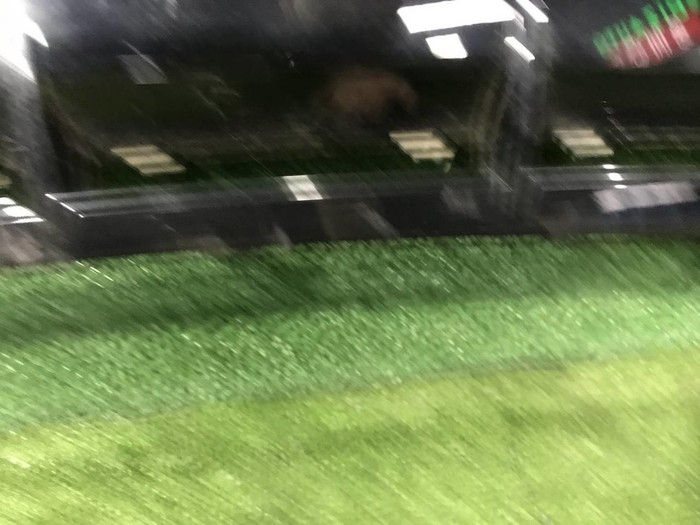 Юбка заднего бампера Porsche Macan 95b (2014-2018)