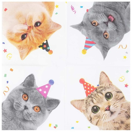 Салфетки «Котики» фотографичные, 25 см / 33 см, 12 шт