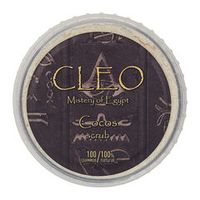 CLEO