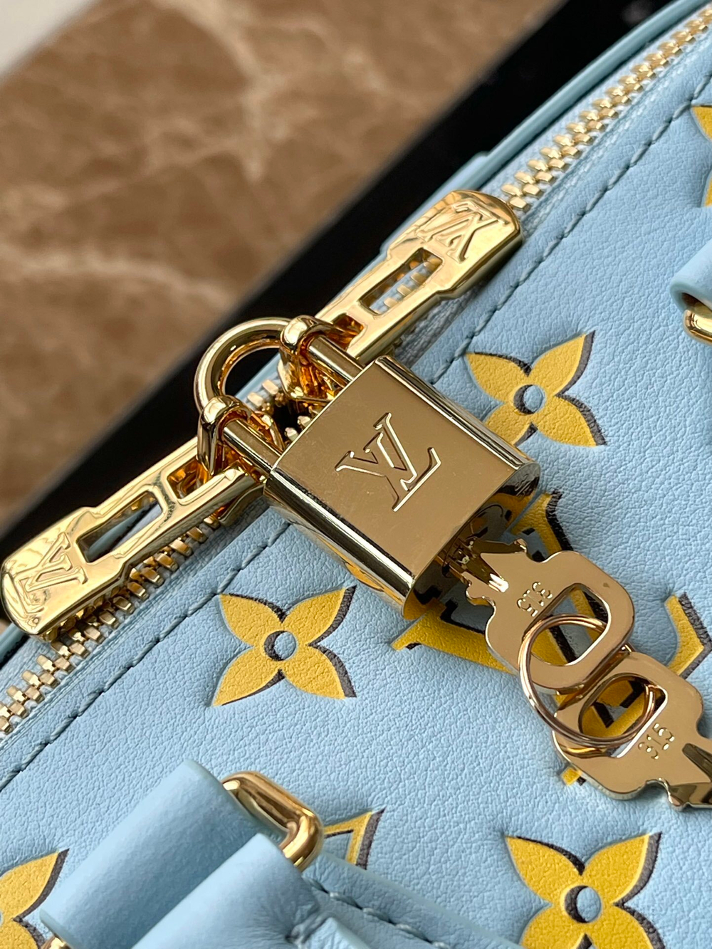 Louis Vuitton Speedy 20