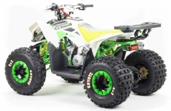 Квадроцикл Motoland 125 COYOTE