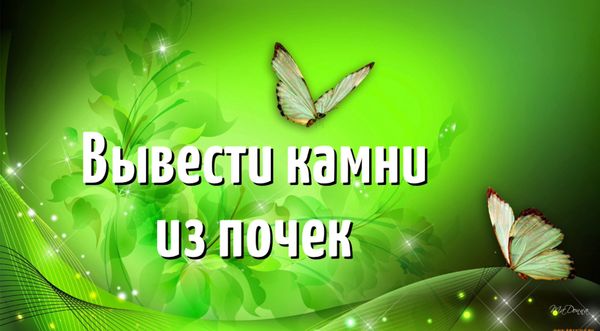 Вывести камни из почек