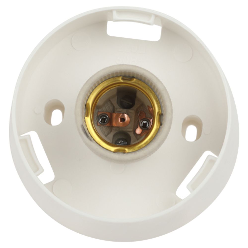 Светильник ЭРА НБП 01-60-004 с наклонным основанием Гранат полиэтилен IP20 E27 max 60 | Светильники ЖКХ IP20