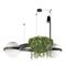 Подвесной светодиодный светильник Loft IT Jardin 10121/2 Dark grey