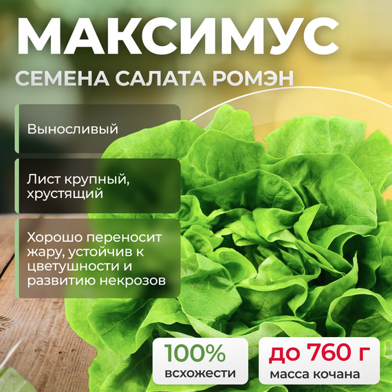 МАКСИМУС семена салата ромэн (Rijk Zwaan) культура
