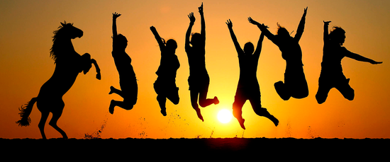 О компании Гестира