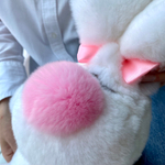 зайка из меха крупный план