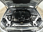 Mercedes-Benz E-Class W213 E220d Exclusive (10.2019)
