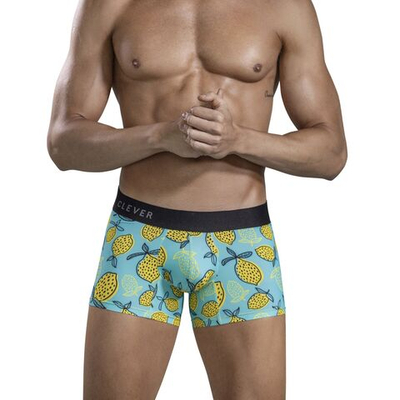 Голубые трусы-хипсы с принтом в виде лимонов Lemons Trunks (Размер: L) (Цвет: голубой)
