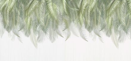 Фотообои Свисающие листья пальм зеленые (Ширина 5,2 м)