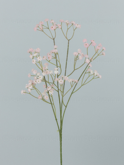 Ветка гипсофилы розовая