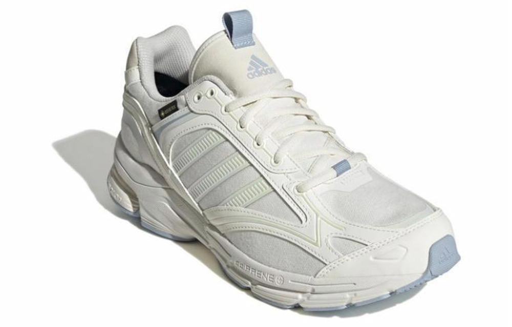 Кроссовки Adidas Spiritain 2000 Gtx (Женская размерная сетка)