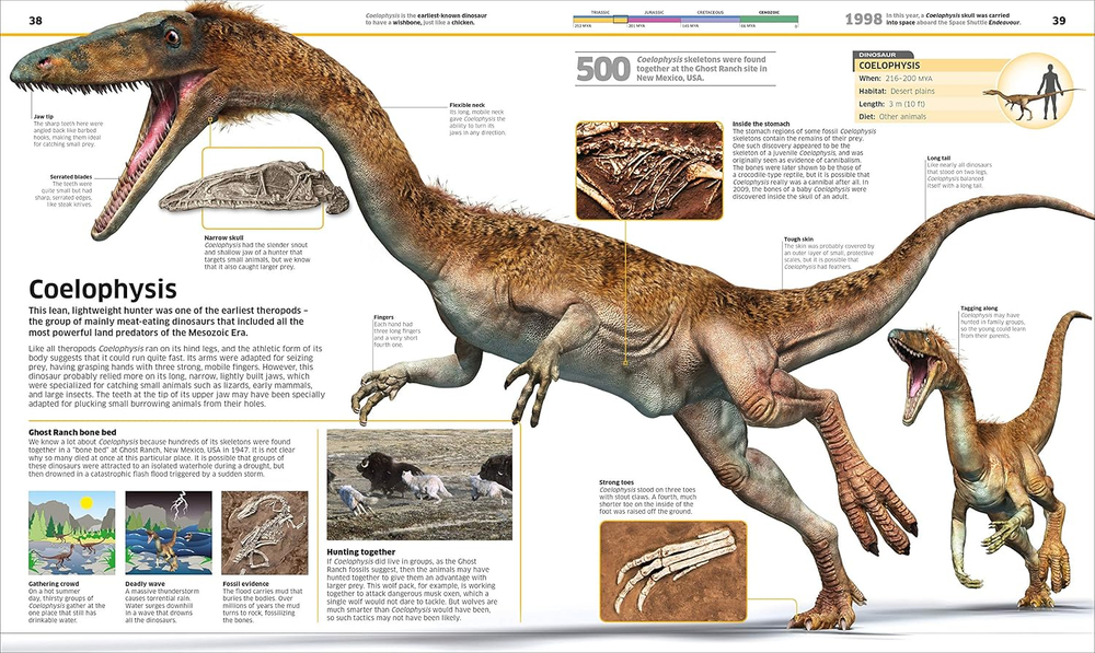 Knowledge Encyclopedia: Dinosaur! (Ned) Hardcover