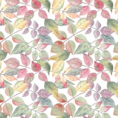 Листья осенних роз / Autumn roses' leaves