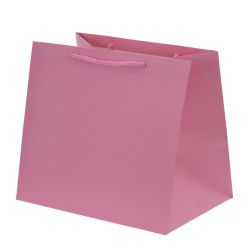 GAEM Пакет подарочный (бумага 230г/м2, блок 12шт), L28 W20 H25 см, 5в.